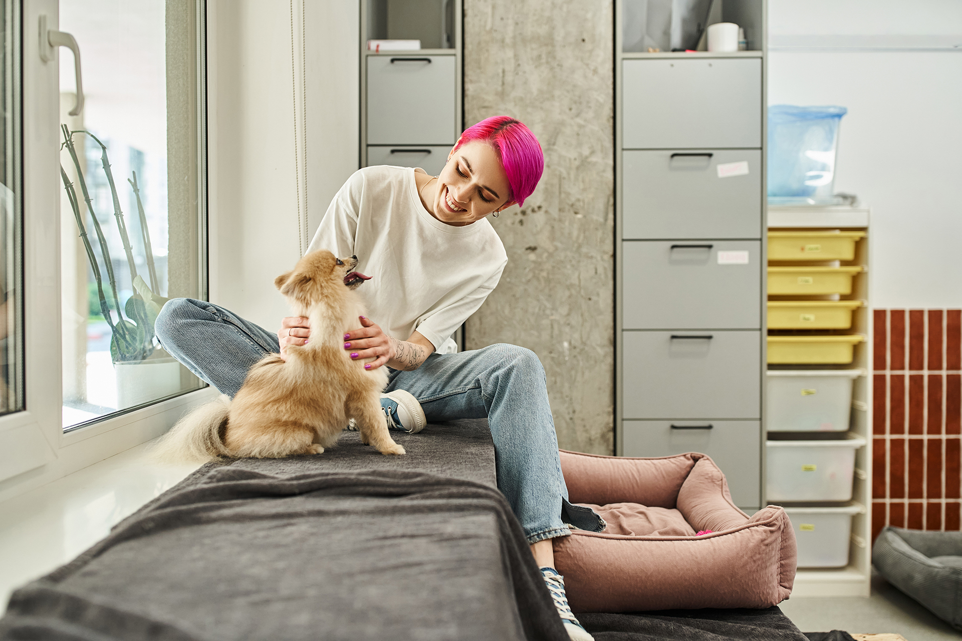 How to Find a Trusted Pet Sitter